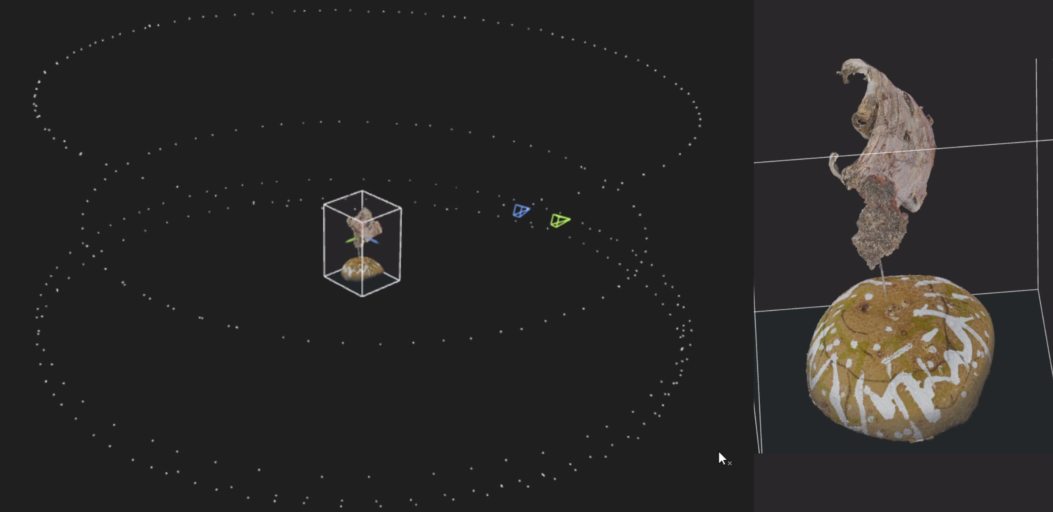Camera orbits in RealityCapture showing perfect ring pattern