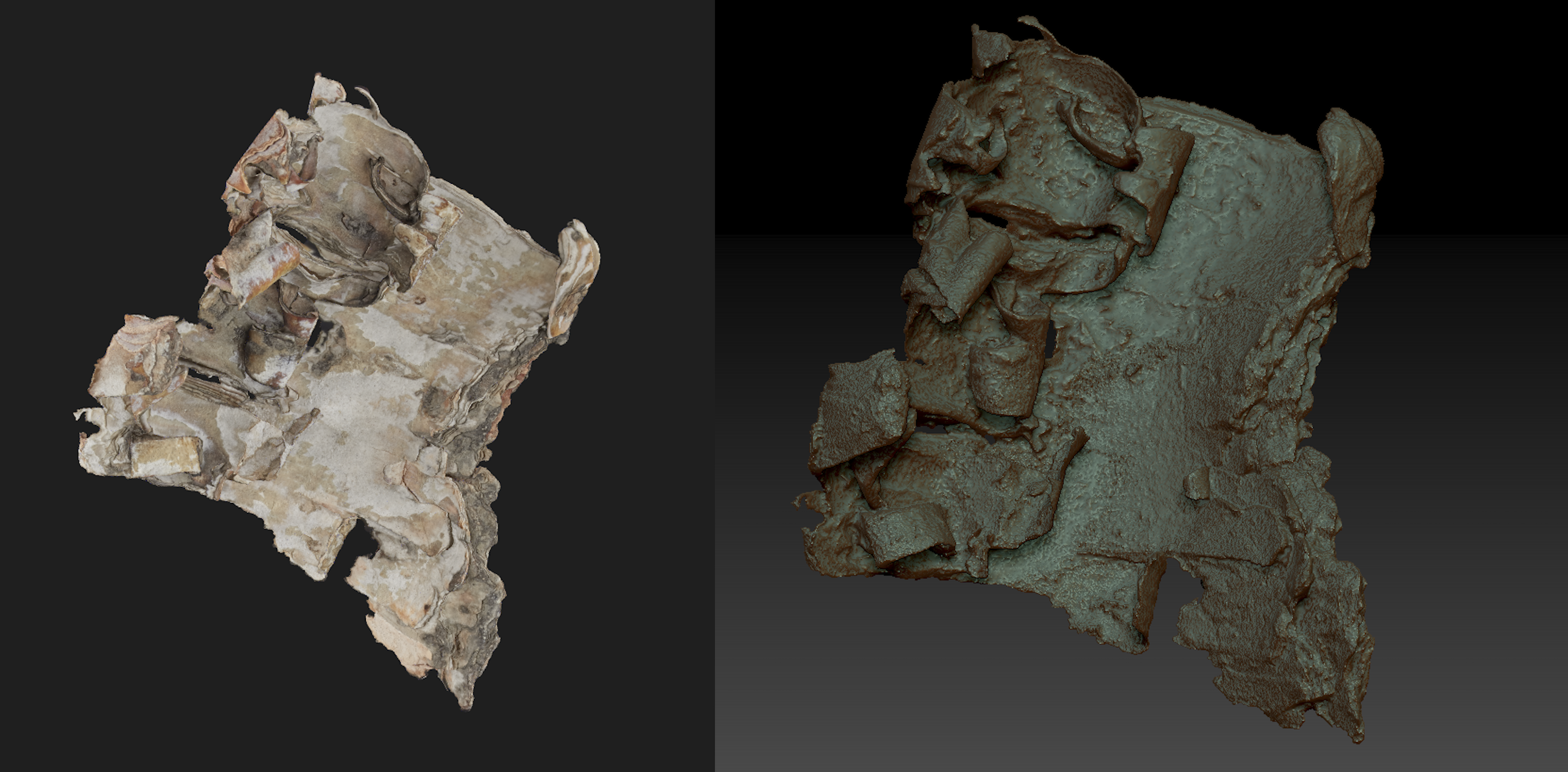 Cleaned bark scan in ZBrush — textured vs. raw mesh