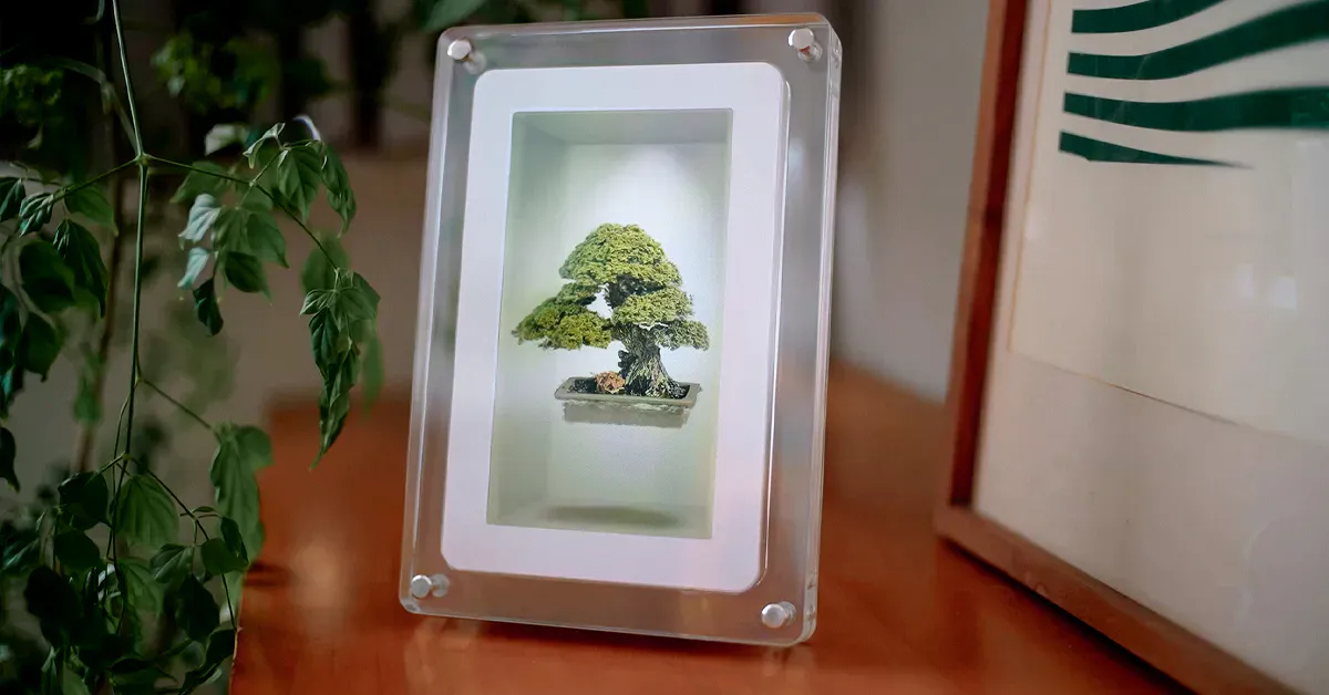 Looking Glass musubi holographic frame product shot