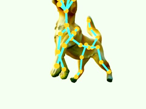 AniGen — The Tripo Team Just Solved AI 3D’s Dead-Statue Problem: One Photo In, a Fully Rigged Character Out