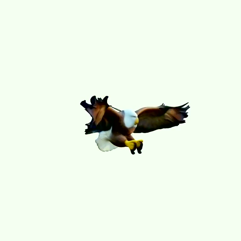 A textured 3D eagle with spread wings generated by AniGen from a single image