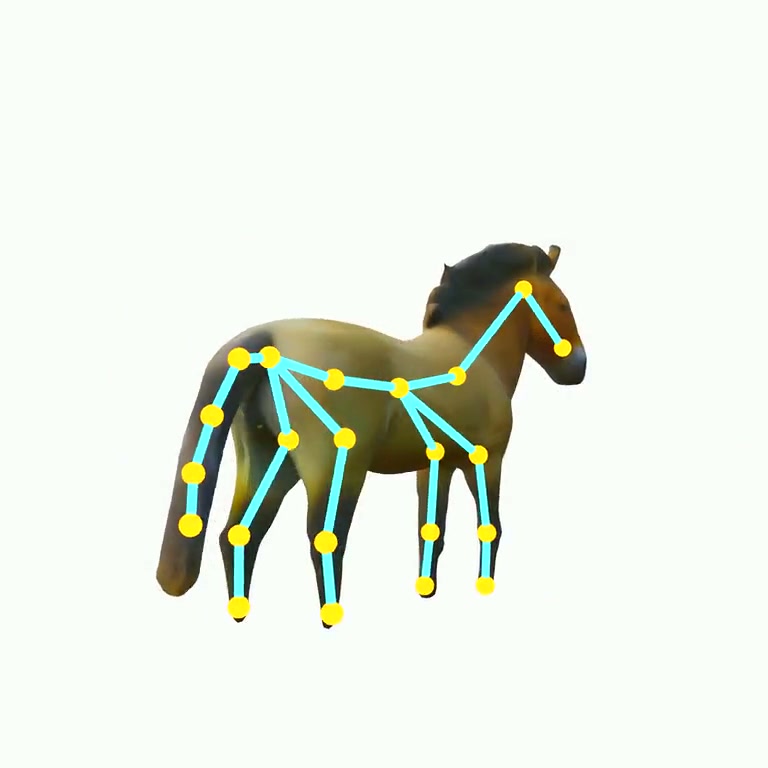 A textured 3D horse generated by AniGen with a clean articulated skeleton following the spine, legs and neck