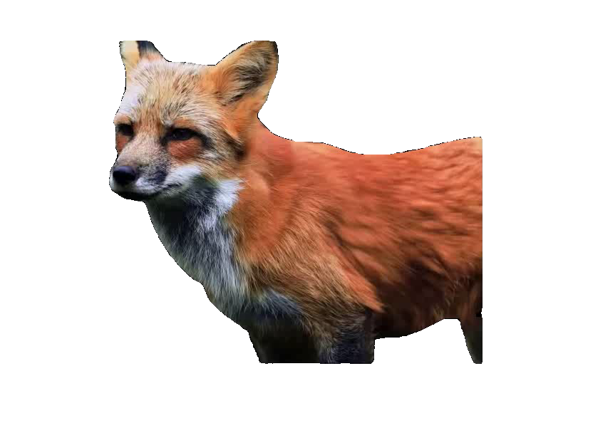 AI-synthesized panther with photoreal fur generated by MoZoo from a coarse mesh