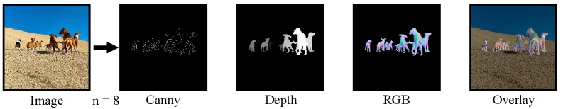 Herd3D example showing eight dogs with RGB, depth and edge maps