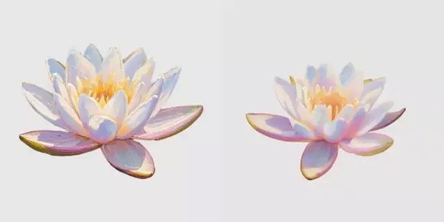 A water lily flower, input image versus generated Gaussian splat rendered from a different angle